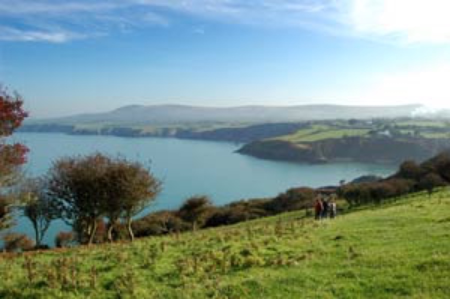 landscape and lake